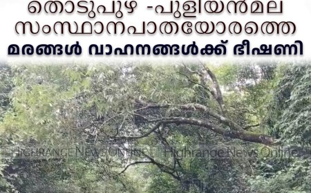 തൊടുപുഴ -പുളിയന്‍മല സംസ്ഥാനപാതയോരത്തെ മരങ്ങള്‍ വാഹനങ്ങള്‍ക്ക് ഭീഷണി 