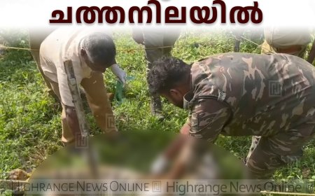 വണ്ടിപ്പെരിയാറില്‍ തോട്ടത്തില്‍ കടുവ ചത്തനിലയില്‍