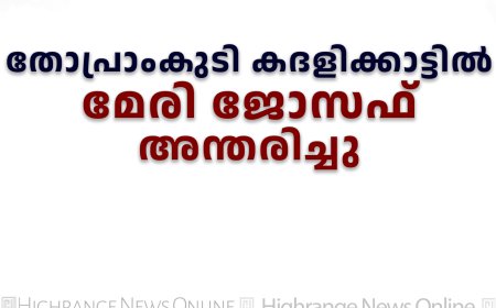 തോപ്രാംകുടി കദളിക്കാട്ടില്‍ മേരി ജോസഫ് അന്തരിച്ചു