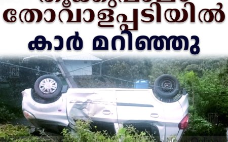തൂക്കുപാലം തോവാളപ്പടിയില്‍ കാര്‍ മറിഞ്ഞു