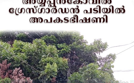 വൈദ്യുതി ലൈനില്‍ തട്ടി മരച്ചില്ലകള്‍: അയ്യപ്പന്‍കോവില്‍ ഗ്രേസ്ഗാര്‍ഡന്‍ പടിയില്‍ അപകടഭീഷണി