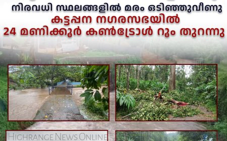 കലിതുള്ളി കാലവര്‍ഷം: കട്ടപ്പനയാറില്‍ ജലനിരപ്പ് ഉയര്‍ന്നു: നിരവധി സ്ഥലങ്ങളില്‍ മരം ഒടിഞ്ഞുവീണു: കട്ടപ്പന നഗരസഭയില്‍ 24 മണിക്കൂര്‍ കണ്‍ട്രോള്‍ റൂം തുറന്നു  