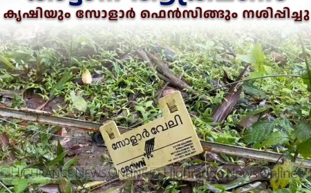 വണ്ടിപ്പെരിയാര്‍ പുതുവലില്‍ കാട്ടാന ആക്രമണം: കൃഷിയും സോളാര്‍ ഫെന്‍സിങ്ങും നശിപ്പിച്ചു 