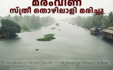 വണ്ടന്‍മേട് വാഴവീട്ടില്‍ മരംവീണ് സ്ത്രീ തൊഴിലാളി മരിച്ചു