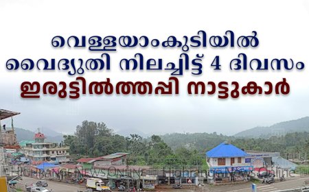 വെള്ളയാംകുടിയില്‍ വൈദ്യുതി നിലച്ചിട്ട് 4 ദിവസം: ഇരുട്ടില്‍ത്തപ്പി നാട്ടുകാര്‍