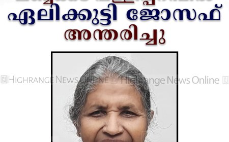 ലബ്ബക്കട പള്ളിപ്പറമ്പില്‍ ഏലിക്കുട്ടി ജോസഫ് അന്തരിച്ചു