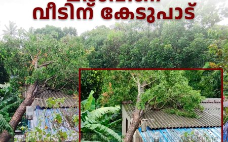 സ്വരാജില്‍ മരംവീണ് വീടിന് കേടുപാട്