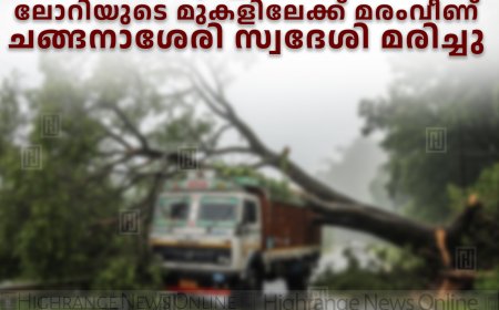 കുമളിയില്‍ ലോറിയുടെ മുകളിലേക്ക് മരംവീണ് ചങ്ങനാശേരി സ്വദേശി മരിച്ചു