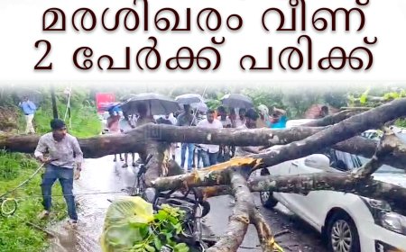 ഓടിക്കൊണ്ടിരുന്ന ബൈക്കിന് മുകളില്‍ മരം വീണ് 2 പേര്‍ക്ക് പരിക്ക്: അപകടം ചേലച്ചുവട്ടില്‍