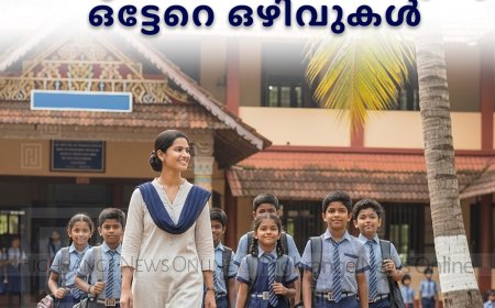 ഇടുക്കി ജില്ലയിലെ വിവിധ സ്‌കൂളുകളില്‍ അധ്യാപകരെ നിയമിക്കുന്നു: ഒട്ടേറെ ഒഴിവുകള്‍