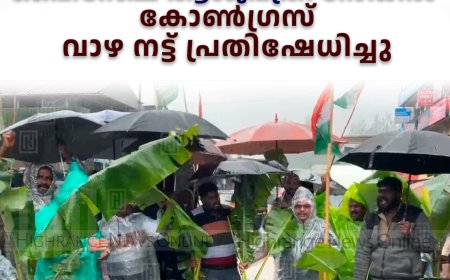 മൂന്നാര് ഹൈറേഞ്ച് ആശുപത്രി റോഡില് കോണ്ഗ്രസ്  വാഴ നട്ട് പ്രതിഷേധിച്ചു