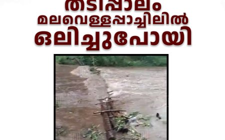 കാഞ്ചിയാര്‍ കുഴിയോടിപ്പടിയിലെ തടിപ്പാലം മലവെള്ളപ്പാച്ചിലില്‍ ഒലിച്ചുപോയി