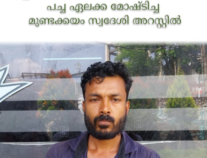 കട്ടപ്പന പാറക്കടവിലെ തോട്ടത്തില്‍നിന്ന് പച്ച ഏലക്ക മോഷ്ടിച്ച മുണ്ടക്കയം സ്വദേശി അറസ്റ്റില്‍  