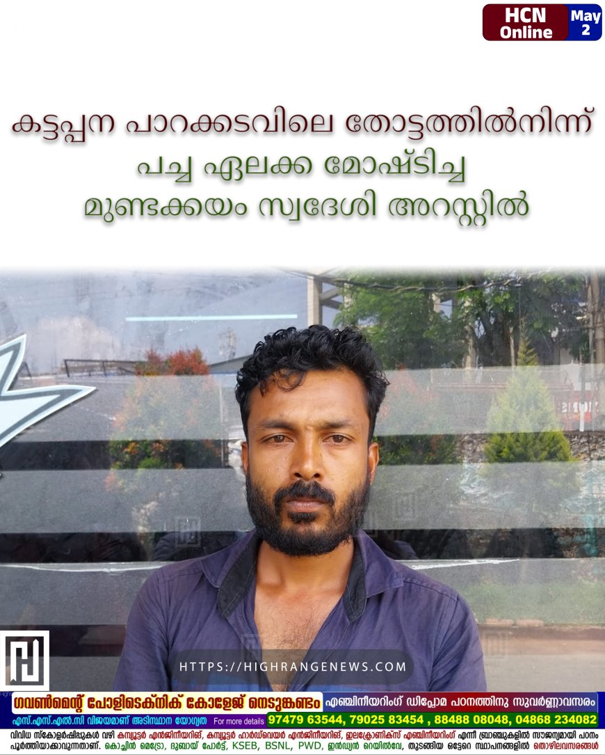 കട്ടപ്പന പാറക്കടവിലെ തോട്ടത്തില്നിന്ന് പച്ച ഏലക്ക മോഷ്ടിച്ച മുണ്ടക്കയം സ്വദേശി അറസ്റ്റില്