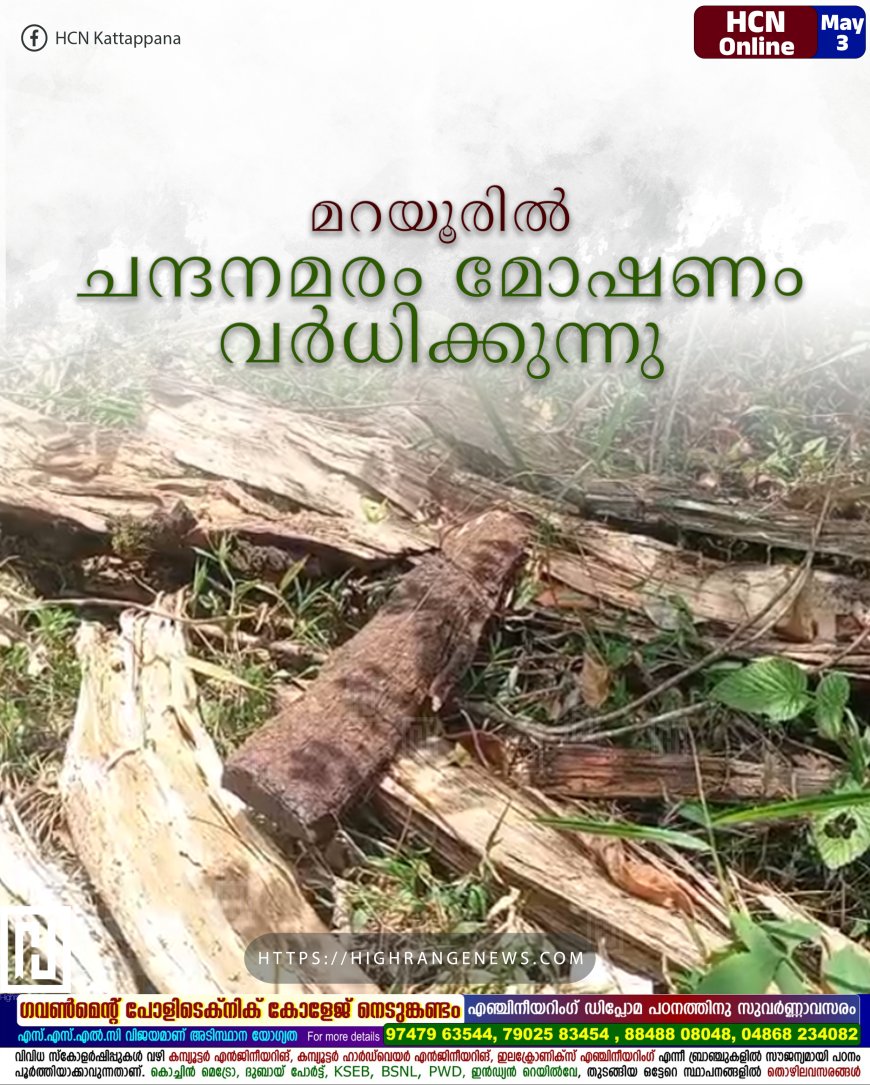 മറയൂരില്‍ ചന്ദനമരം മോഷണം വര്‍ധിക്കുന്നു
