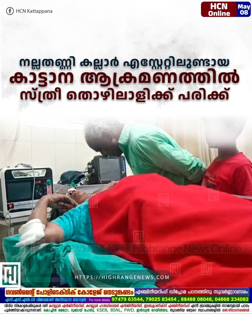 നല്ലതണ്ണി കല്ലാര് എസ്റ്റേറ്റിലുണ്ടായ കാട്ടാന ആക്രമണത്തില് സ്ത്രീ തൊഴിലാളിക്ക് പരിക്ക്