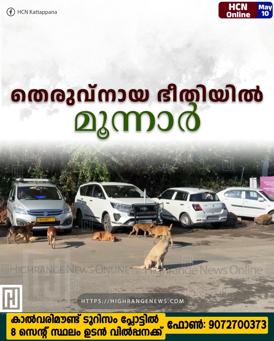 തെരുവ്‌നായ ഭീതിയില്‍ മൂന്നാര്‍