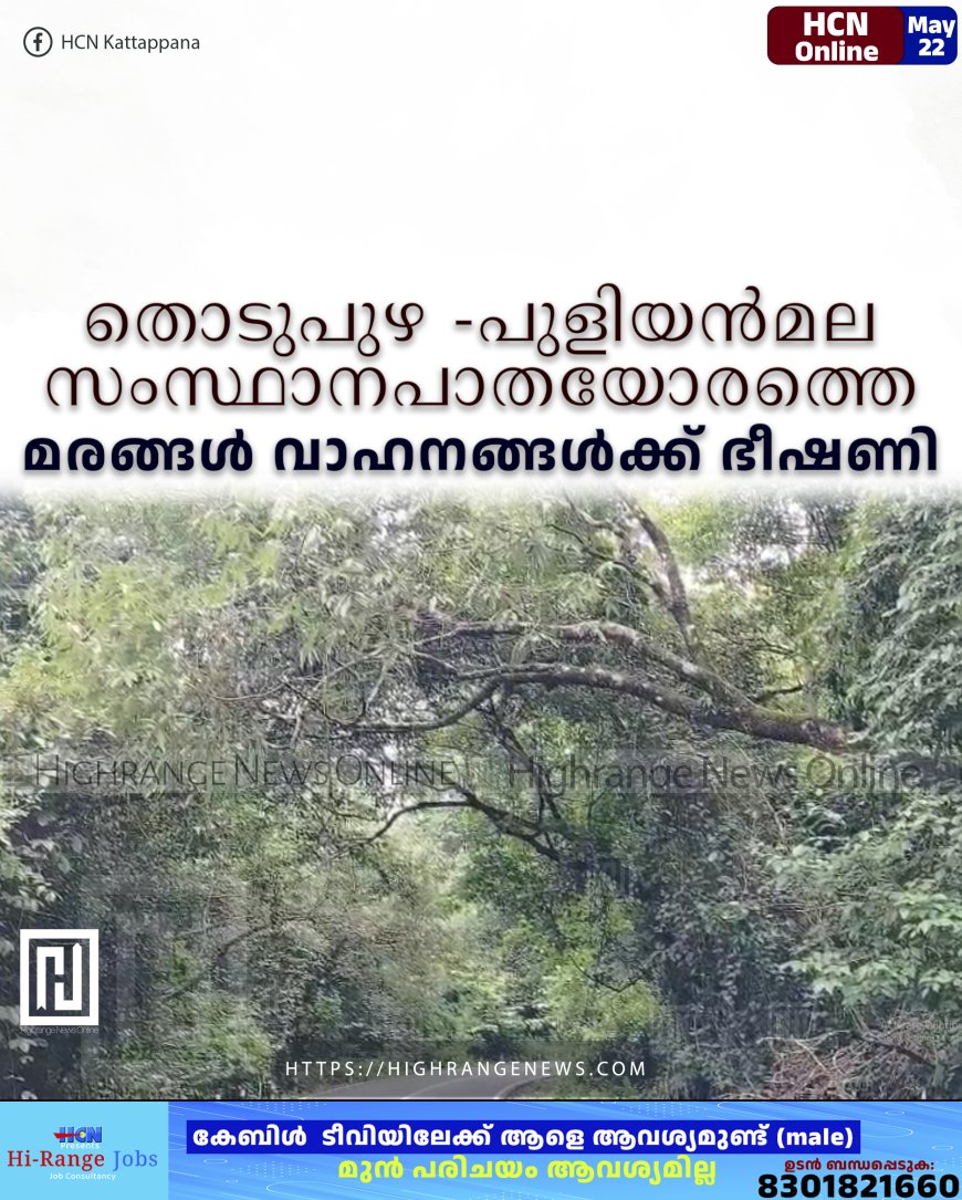 തൊടുപുഴ -പുളിയന്മല സംസ്ഥാനപാതയോരത്തെ മരങ്ങള് വാഹനങ്ങള്ക്ക് ഭീഷണി