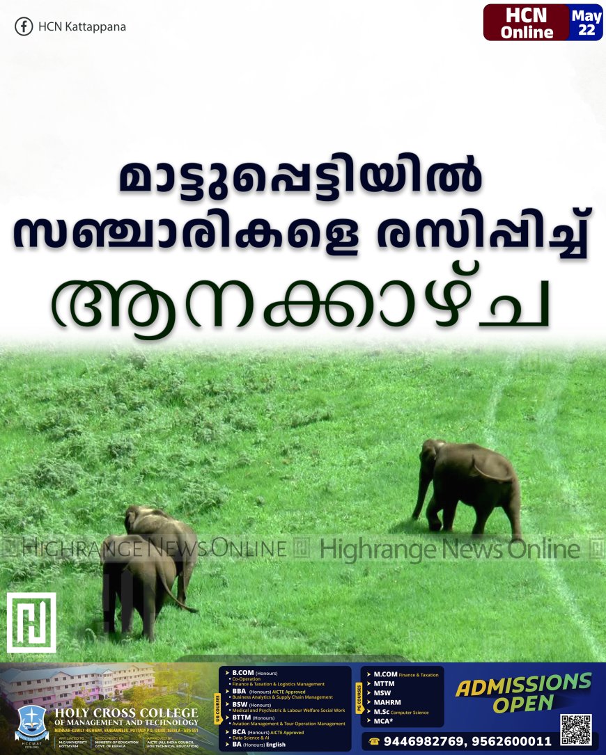 മാട്ടുപ്പെട്ടിയില് സഞ്ചാരികളെ രസിപ്പിച്ച് ആനക്കാഴ്ച