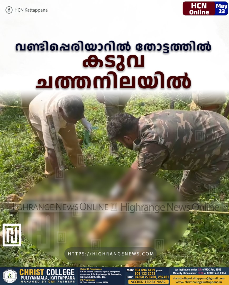 വണ്ടിപ്പെരിയാറില്‍ തോട്ടത്തില്‍ കടുവ ചത്തനിലയില്‍