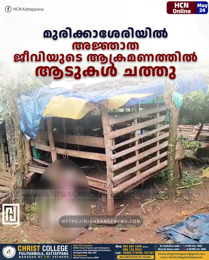 മുരിക്കാശേരിയില്‍ അജ്ഞാത ജീവിയുടെ ആക്രമണത്തില്‍ ആടുകള്‍ ചത്തു