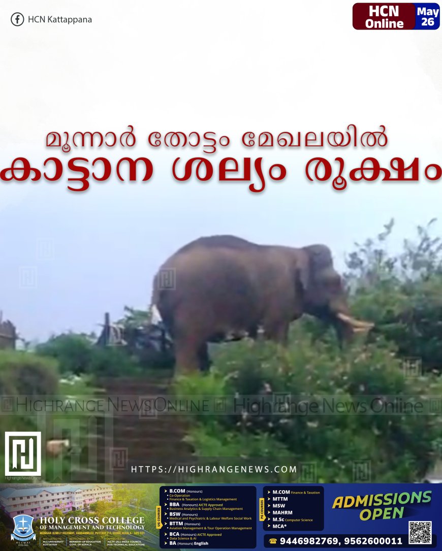മൂന്നാര് തോട്ടം മേഖലയില് കാട്ടാന ശല്യം രൂക്ഷം