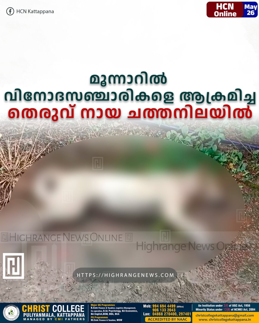മൂന്നാറില് വിനോദസഞ്ചാരികളെ ആക്രമിച്ച തെരുവ് നായ ചത്തനിലയില്