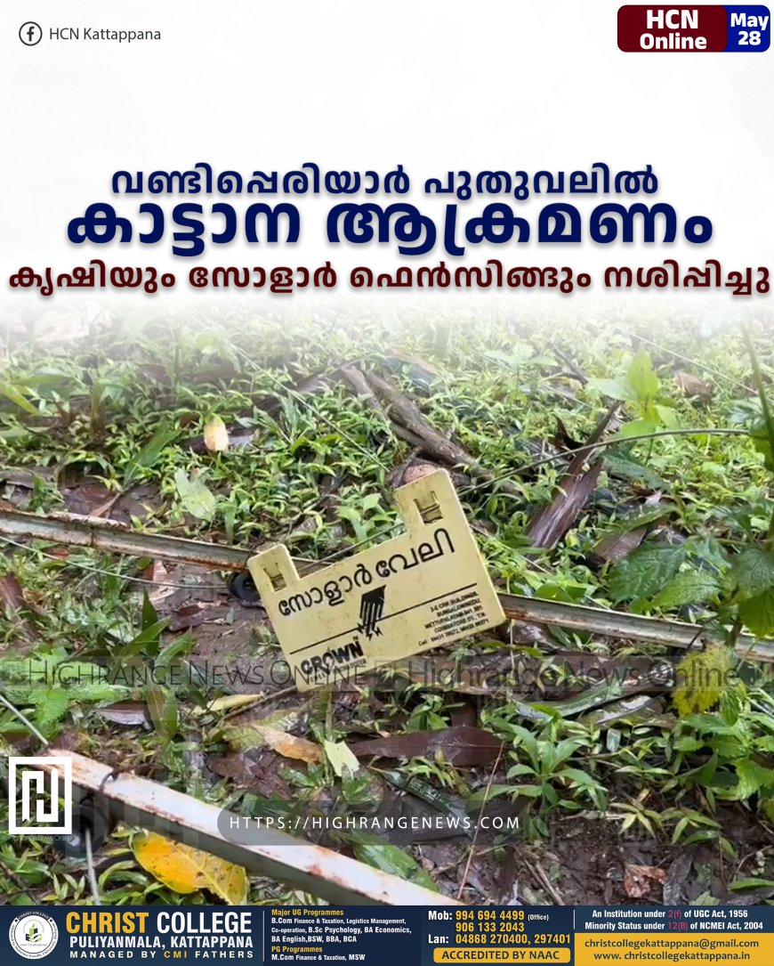 വണ്ടിപ്പെരിയാര്‍ പുതുവലില്‍ കാട്ടാന ആക്രമണം: കൃഷിയും സോളാര്‍ ഫെന്‍സിങ്ങും നശിപ്പിച്ചു 