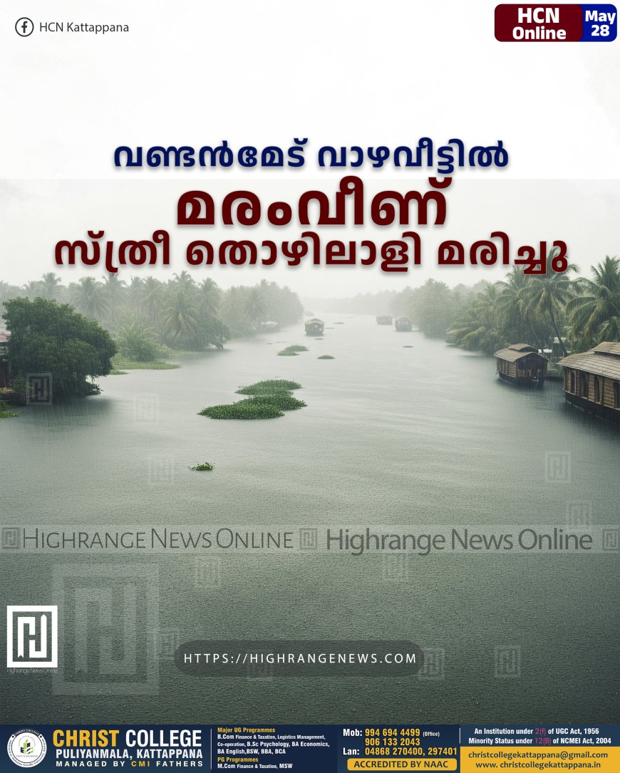 വണ്ടന്‍മേട് വാഴവീട്ടില്‍ മരംവീണ് സ്ത്രീ തൊഴിലാളി മരിച്ചു