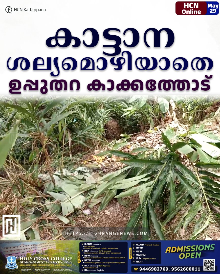 കാട്ടാന ശല്യമൊഴിയാതെ ഉപ്പുതറ കാക്കത്തോട്