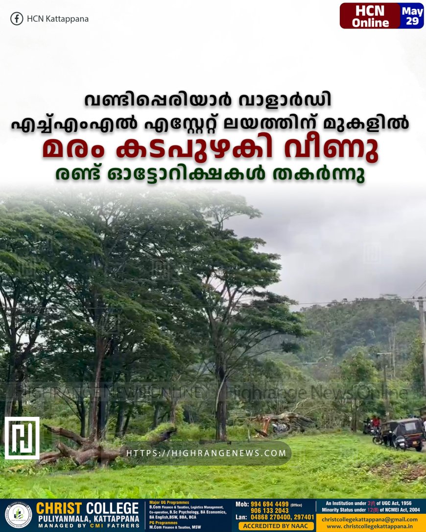   വണ്ടിപ്പെരിയാര്‍ വാളാര്‍ഡി എച്ച്എംഎല്‍ എസ്റ്റേറ്റ് ലയത്തിന് മുകളില്‍ മരം കടപുഴകി വീണു: രണ്ട് ഓട്ടോറിക്ഷകള്‍ തകര്‍ന്നു