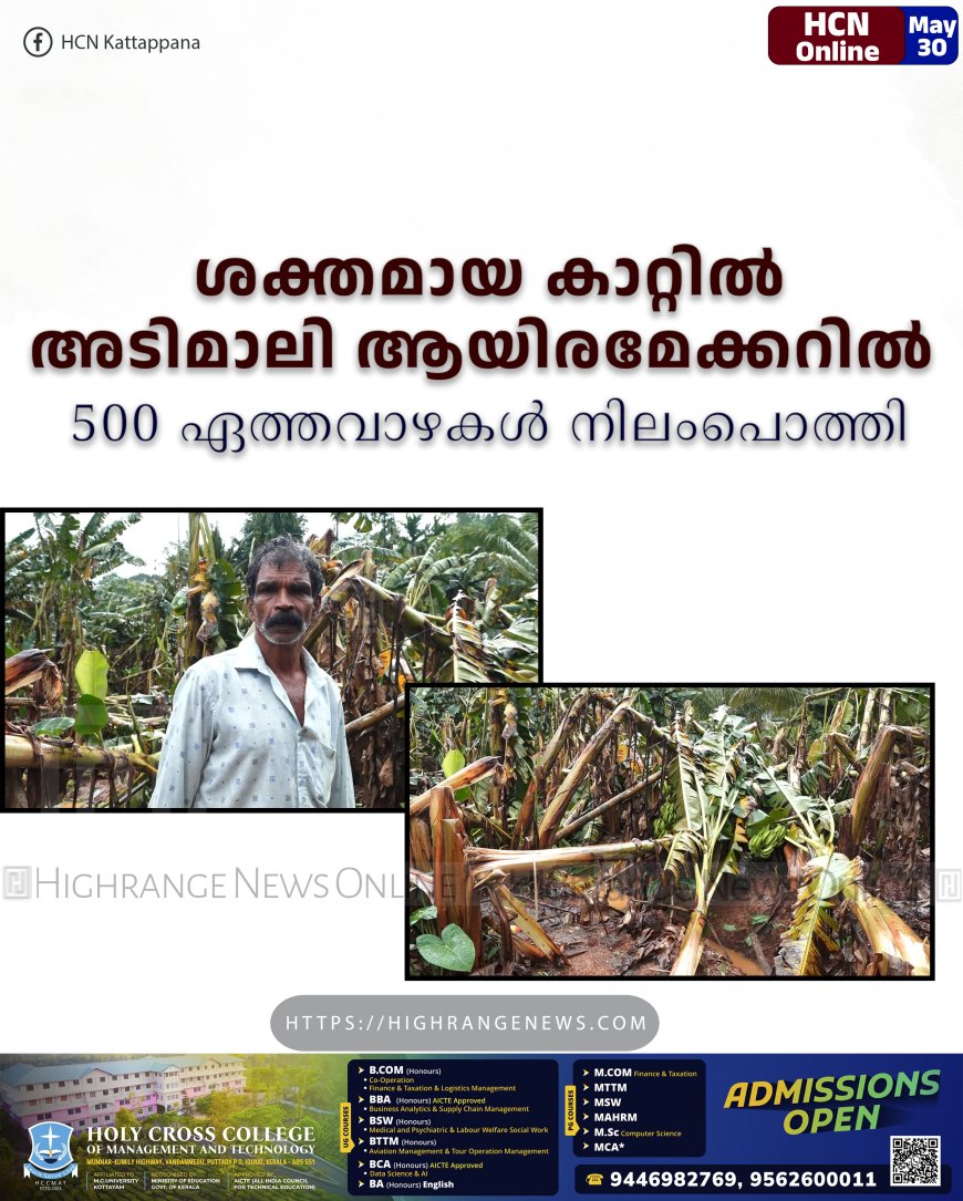 ശക്തമായ കാറ്റില്‍ അടിമാലി ആയിരമേക്കറില്‍ 500 ഏത്തവാഴകള്‍ നിലംപൊത്തി