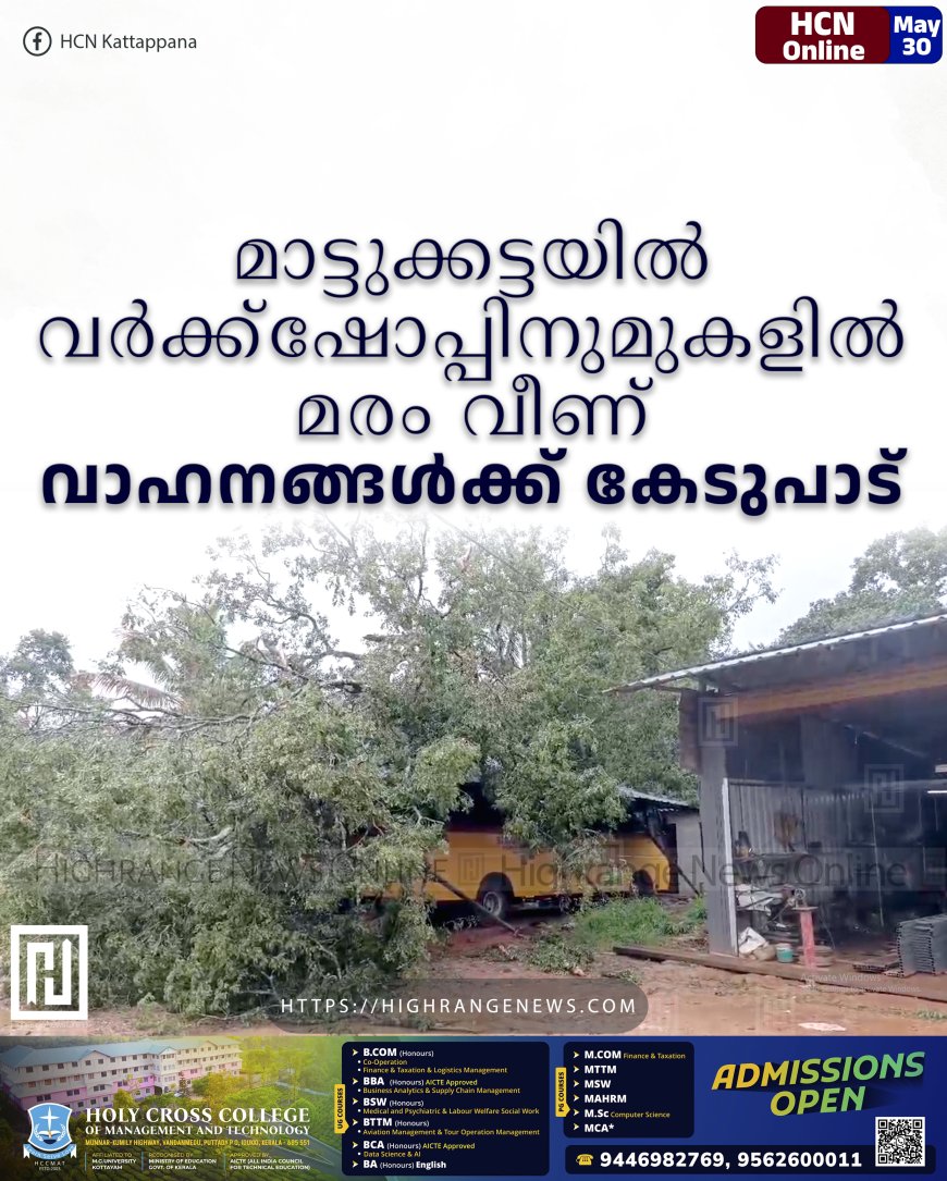 മാട്ടുക്കട്ടയില്‍ വര്‍ക്ക്‌ഷോപ്പിനുമുകളില്‍ മരം വീണ് വാഹനങ്ങള്‍ക്ക് കേടുപാട്