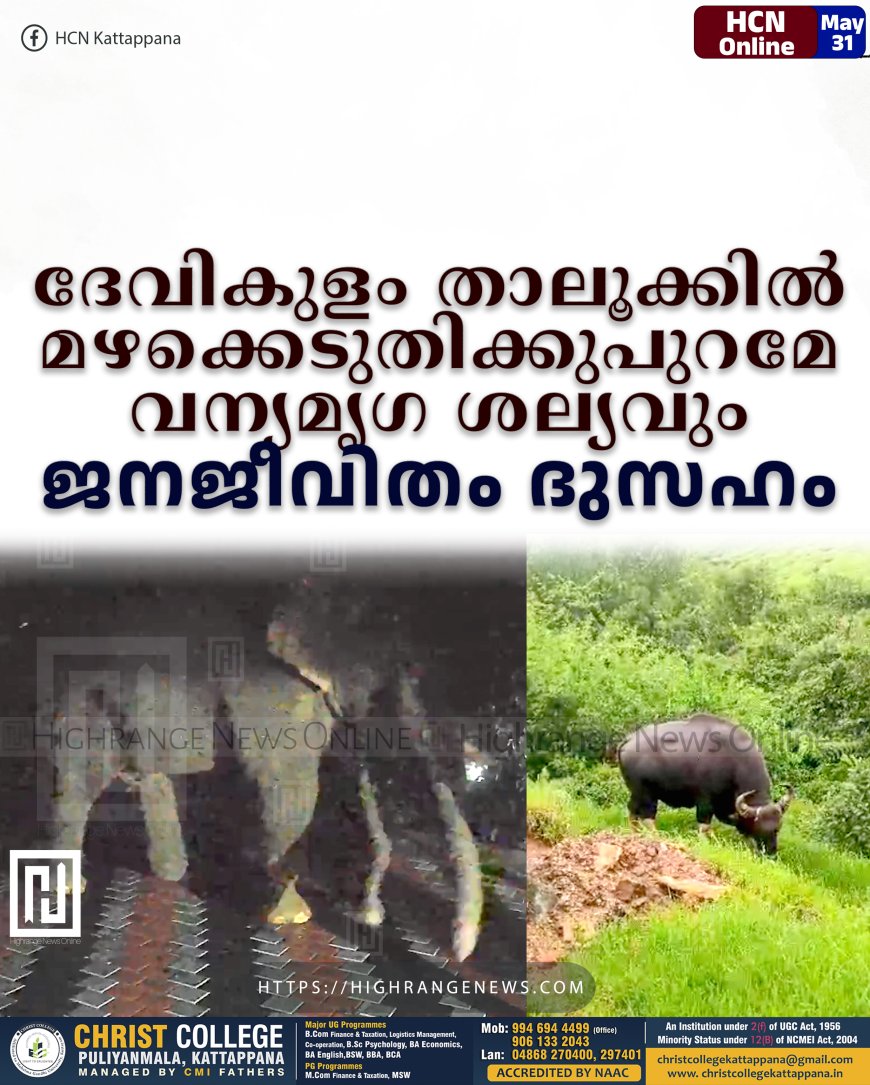 ദേവികുളം താലൂക്കില്‍ മഴക്കെടുതിക്കുപുറമേ വന്യമൃഗ ശല്യവും: ജനജീവിതം ദുസഹം