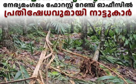 അടിമാലി വാളറയില്‍ കാട്ടാന ശല്യം രൂക്ഷം:  നേര്യമംഗലം ഫോറസ്റ്റ് റേഞ്ച് ഓഫീസില്‍ പ്രതിഷേധവുമായി നാട്ടുകാര്‍