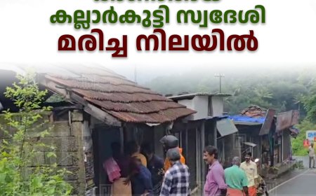 കാണാതായ കല്ലാർകുട്ടി സ്വദേശി മരിച്ച നിലയിൽ