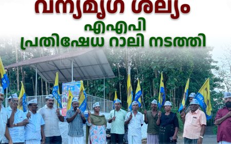  പിണ്ടിമന പഞ്ചായത്തിലെ വന്യമൃഗ ശല്യം: എഎപി പ്രതിഷേധ റാലി നടത്തി 