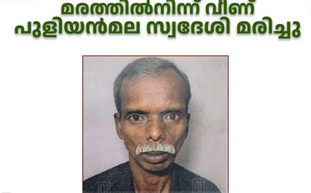ശിഖരം മുറിക്കുന്നതിനിടെ മരത്തില്‍നിന്ന് വീണ് പുളിയന്‍മല സ്വദേശി മരിച്ചു
