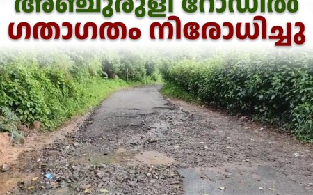 അഞ്ചുരുളി റോഡില്‍ ഗതാഗതം നിരോധിച്ചു