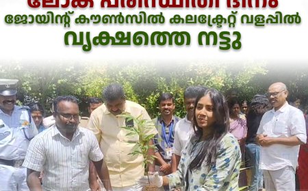 പരിസ്ഥിതി ദിനാചരണം: ഇടുക്കി കലക്‌ട്രേറ്റ് വളപ്പില്‍ ജോയിന്റ് കൗണ്‍സില്‍ വൃക്ഷത്തൈ നട്ടു