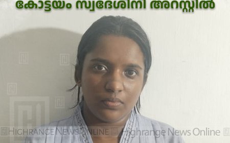 യുകെയില്‍ ജോലി വാഗ്ദാനം ചെയ്ത് കട്ടപ്പന സ്വദേശിയുടെ 10 ലക്ഷം തട്ടിയ കോട്ടയം സ്വദേശിനി അറസ്റ്റില്‍