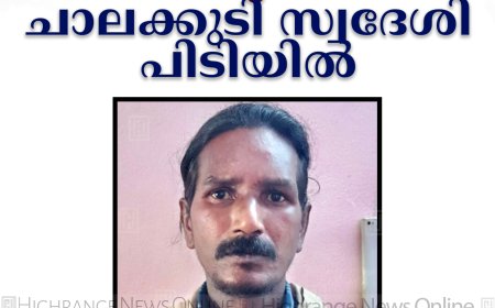 ദേവികുളത്ത് ചരസുമായി ചാലക്കുടി സ്വദേശി പിടിയില്‍