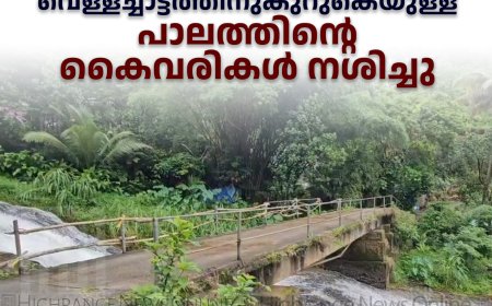 തലമാലി വെള്ളച്ചാട്ടത്തിനുകുറുകെയുള്ള പാലത്തിന്റെ കൈവരികള്‍ നശിച്ചു 