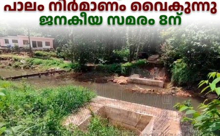കാഞ്ചിയാര്‍ കുഴിയോടിപ്പടി പാലം നിര്‍മാണം വൈകുന്നു: ജനകീയ സമരം 8ന്