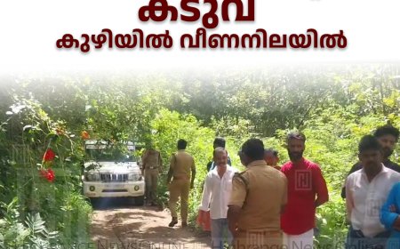 മൈലാടുംപാറ കടുക്കാസിറ്റിയില്‍ കടുവ കുഴിയില്‍ വീണനിലയില്‍