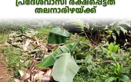 വാഴവര വാകപ്പടിയിലും കാട്ടാനക്കൂട്ടം കൃഷിനാശമുണ്ടാക്കി: പ്രദേശവാസി രക്ഷപ്പെട്ടത് തലനാരിഴയ്ക്ക്