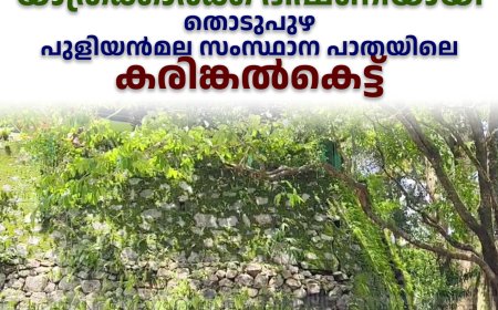 യാത്രക്കാര്‍ക്ക് ഭീഷണിയായി തൊടുപുഴ പുളിയന്‍മല സംസ്ഥാന പാതയിലെ കരിങ്കല്‍കെട്ട്