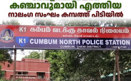 ആന്ധ്രാപ്രദേശില്‍ നിന്ന് കേരളത്തിലേയ്ക്ക്  കഞ്ചാവുമായി എത്തിയ നാലംഗ സംഘം കമ്പത്ത് പിടിയില്‍ 