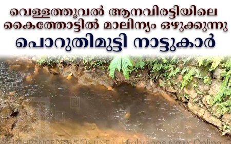 വെള്ളത്തൂവല്‍ ആനവിരട്ടിയിലെ കൈത്തോട്ടില്‍ മാലിന്യം ഒഴുക്കുന്നു: പൊറുതിമുട്ടി നാട്ടുകാര്‍
