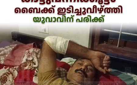 മൈലാടുംപാറയില്‍ കാട്ടുപന്നിക്കൂട്ടം ബൈക്ക് ഇടിച്ചുവീഴ്ത്തി: യുവാവിന് പരിക്ക്